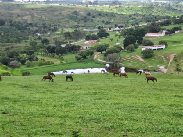 CONJUR: IMPENHORABILIDADE DE PROPRIEDADE RURAL FAMILIAR É TEMA DE REPERCUSSÃO GERAL
